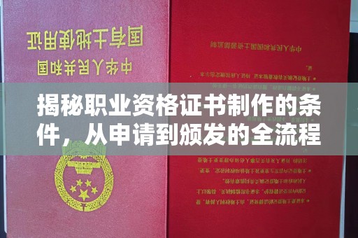 普湾新区揭秘职业资格证书制作的条件，从申请到颁发的全流程解析